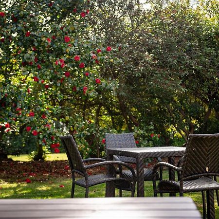Copthorne Effingham Gatwick Hotel Eksteriør billede